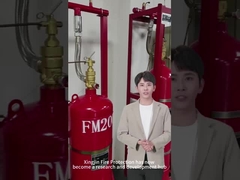 ইন্ডাস্ট্রিয়াল হেপটাফ্লুরোপ্রোপেন ফায়ার দমন Fm200 ক্যাবিনেট টাইপ